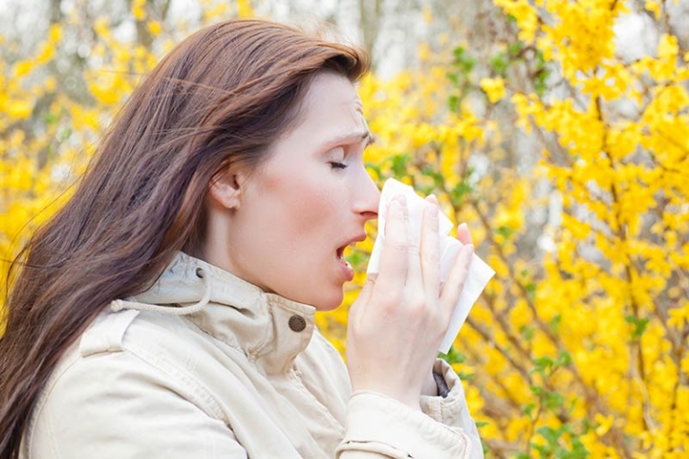 Autumn: Beat allergens in the workplace
